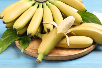 Tasty ripe baby bananas on light blue wooden table