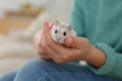 Little girl with cute hamster at home, closeup