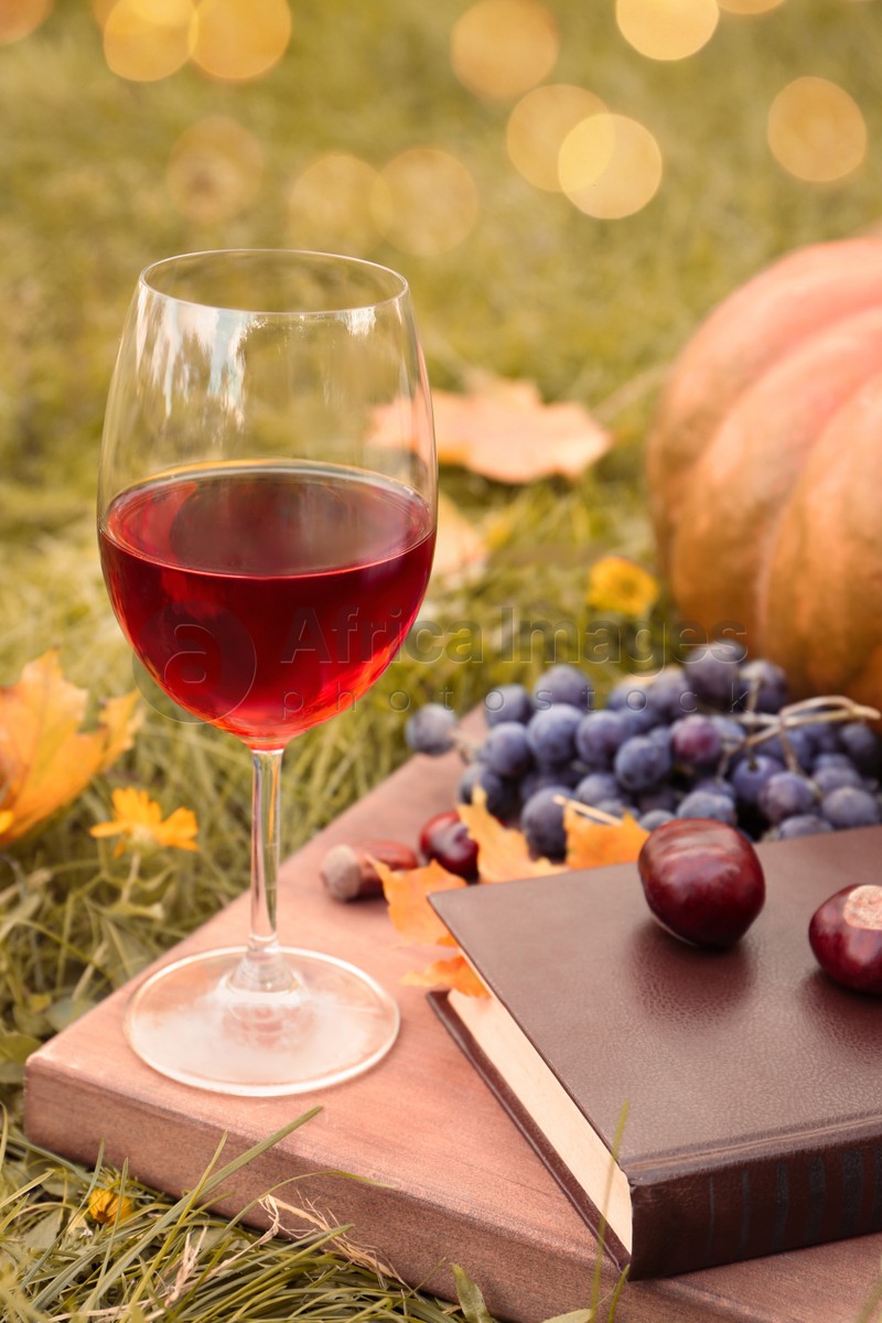 Glass of wine, book and chestnuts on wooden board outdoors. Autumn picnic