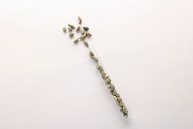 Glass tube with cardamom on white background, top view