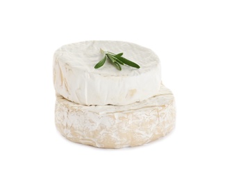 Tasty camembert and brie cheeses with rosemary isolated on white