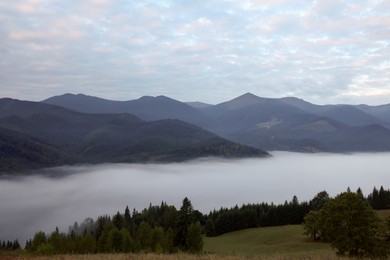 Picturesque view of mountains and forest covered with fog
