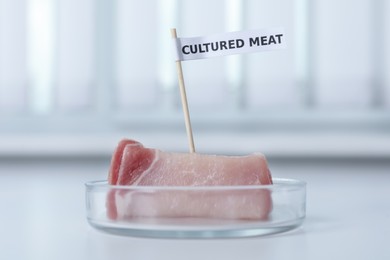 Petri dish with sample of lab grown pork labeled Cultured Meat on white table in laboratory
