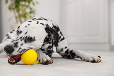 Photo of Adorable Dalmatian dog playing with yellow ball indoors