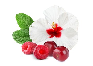 Beautiful hibiscus flower, fresh tasty raspberries, cherries and mint on white background