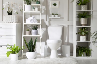 Stylish bathroom interior with toilet bowl and many beautiful houseplants