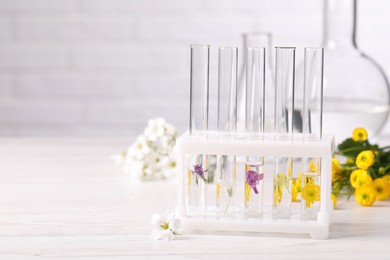 Test tubes with different flowers on white wooden table, space for text. Essential oil extraction