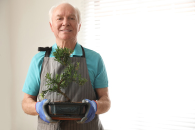 Senior man with Japanese bonsai plant indoors, space for text. Creating zen atmosphere at home