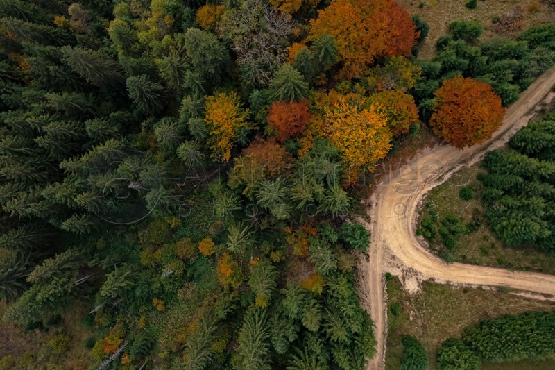 Aerial view of countryside road in beautiful autumn forest