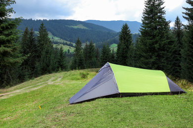 Modern camping tent near beautiful conifer forest