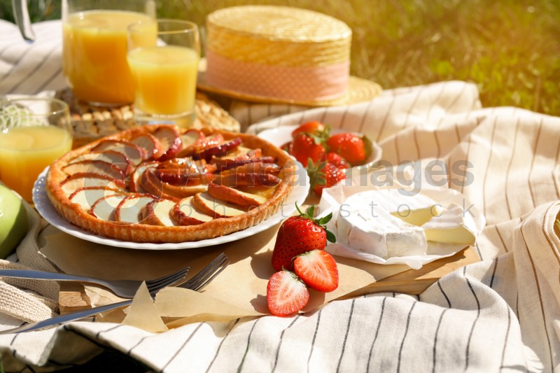 Blanket with different products outdoors. Summer picnic