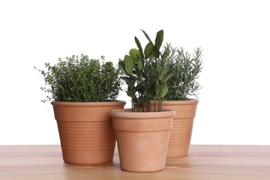 Photo of Pots with thyme, bay and rosemary on wooden table against white background