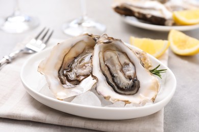 Fresh oysters with rosemary and ice on grey table, closeup