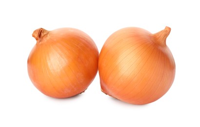 Photo of Two fresh unpeeled onions on white background