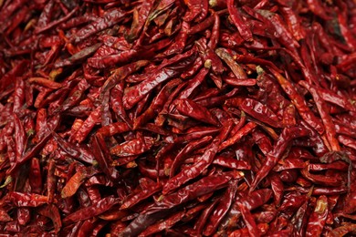 Photo of Pile of spicy dried red chiles as background, top view