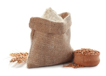 Photo of Flour in bag, spikelets and bowl with grains on white background