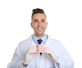 Male dentist holding model of oral cavity with teeth on white background