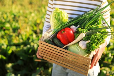 Photo of Woman with crate of different fresh ripe vegetables on farm, closeup