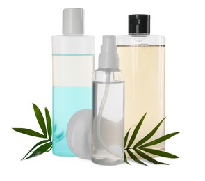 Bottles of micellar cleansing water, cotton pads and green twigs on white background