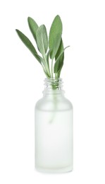 Bottle of essential oil and sage isolated on white
