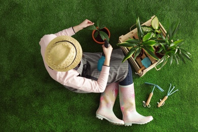 Woman taking care of seedling on green grass, top view. Home gardening