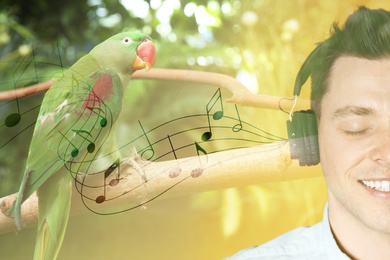 Double exposure of beautiful parrot on tree branch and man in headphones listening to music, closeup