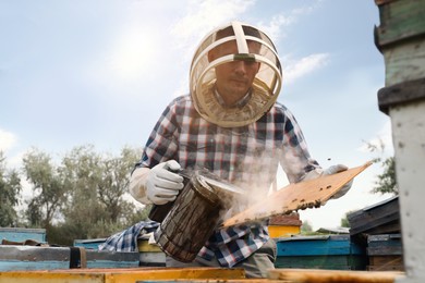 Beekeeper using bee smoker near hive at apiary. Harvesting honey