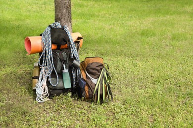 Backpacks with hiking equipment near tree on green grass. Space for text
