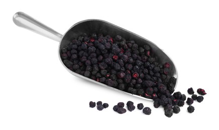 Scoop with freeze dried blueberries on white background