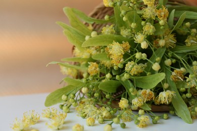Photo of Overturned wicker basket with beautiful linden blossoms and green leaves on white table, closeup