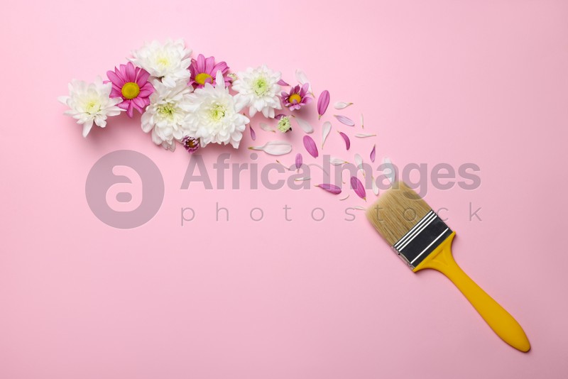 Brush painting with colorful flowers and petals of chrysanthemum on pink background, flat lay. Creative concept