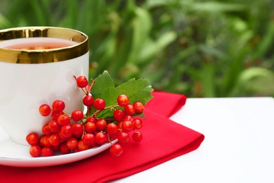 Photo of Cup of tea and fresh ripe viburnum berries on table outdoors