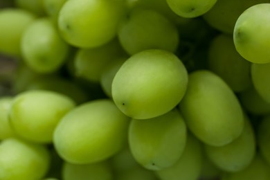 Ripe juicy grapes as background, closeup view