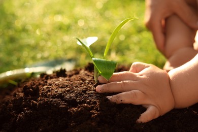 Photo of Mother and her child planting tree seedling into fertile soil, closeup