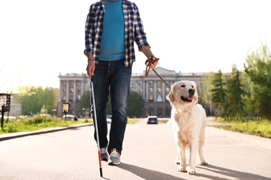 Guide dog helping blind person with long cane walking outdoors