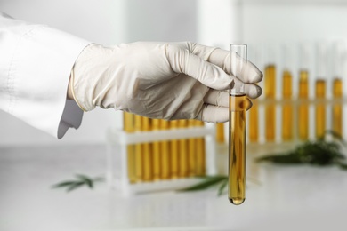 Doctor holding test tube with urine sample for hemp analysis over table, closeup