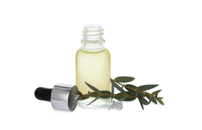Bottle of eucalyptus essential oil and plant branches on white background