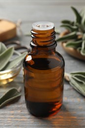 Bottle of essential sage oil on grey wooden table, closeup
