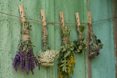 Bunches of different beautiful dried flowers hanging on rope near old wooden wall
