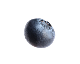 Whole fresh tasty blueberry isolated on white