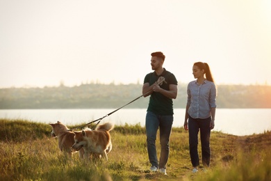 Photo of Young couple walking their adorable Akita Inu dogs near river