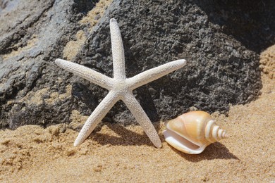Beautiful starfish and sea shell near black stone on sandy beach