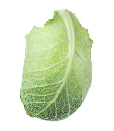 Photo of Fresh savoy cabbage leaf isolated on white