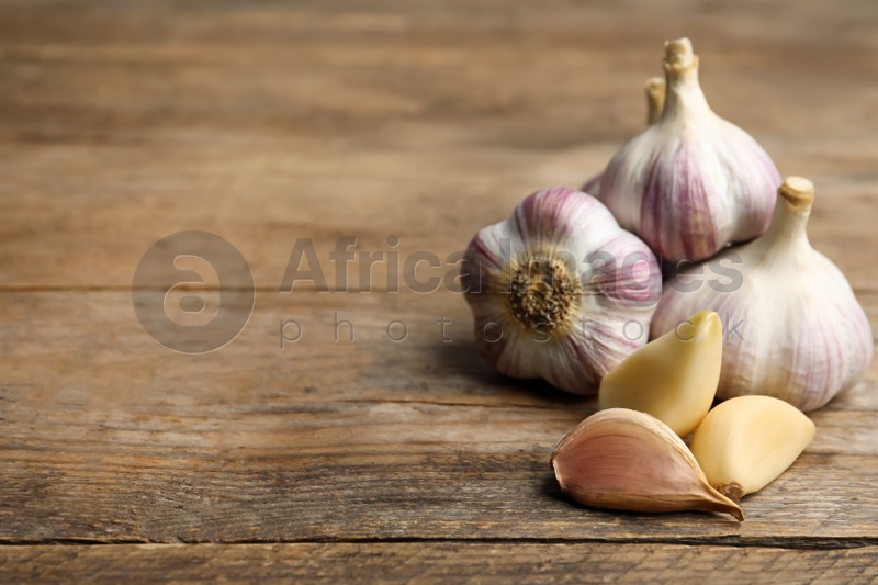 Fresh organic garlic on wooden table. Space for text