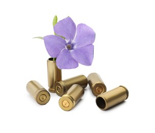 Photo of Bullet shells and beautiful flower on white background. Peace instead of war