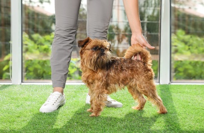 Young woman and cute Brussels Griffon dog indoors. Champion training
