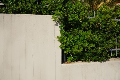 Photo of Concrete fence with metal railing and green bushes outdoors on sunny day, space for text