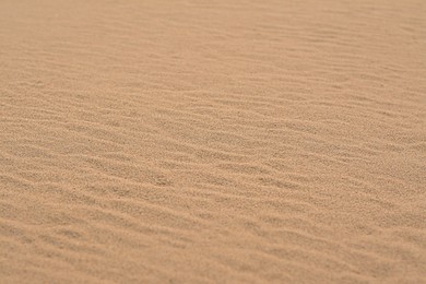 Closeup view of clean beach sand outdoors