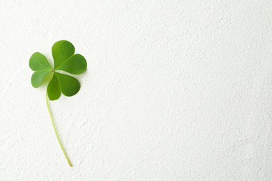 Photo of Clover leaf on white table, top view with space for text. St. Patrick's Day symbol