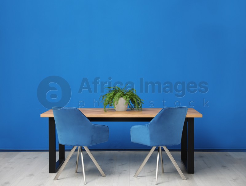 Photo of Modern table with potted fern near blue wall